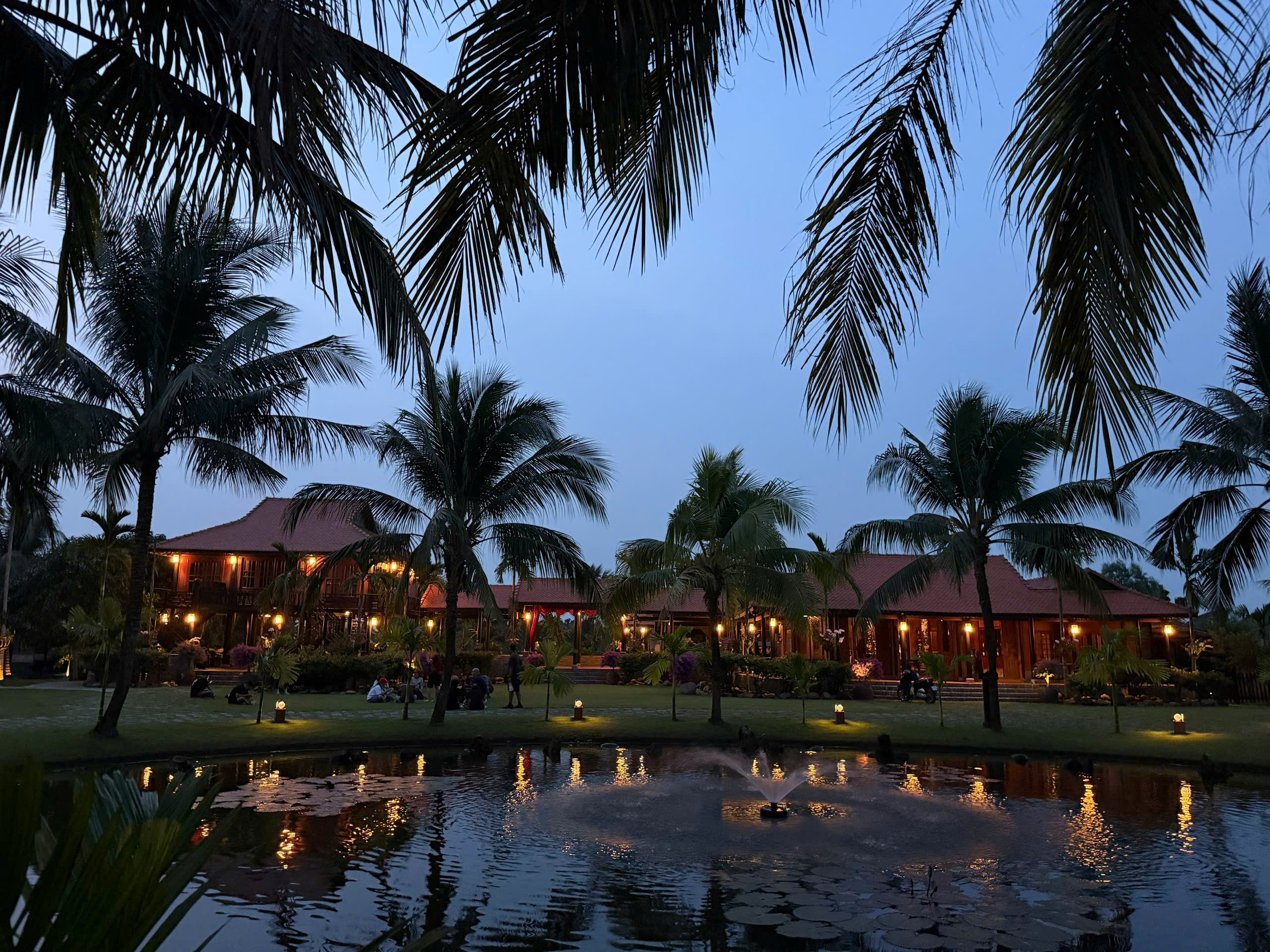 Night Vibes